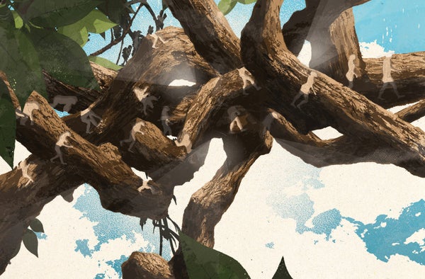 Prints of human bodies on a tree branch.